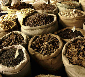Medicinal plants' market. Chengdu, Sichuan Province, China. The harvesting of plants for traditional Chinese medicines can disturb panda habitat and has caused the extinction of some local plant species in the Minshan Mountains. - © (c) WWF-Canon / Michel GUNTHER Medicinal plants' market. Chengdu, Sichuan Province, China.